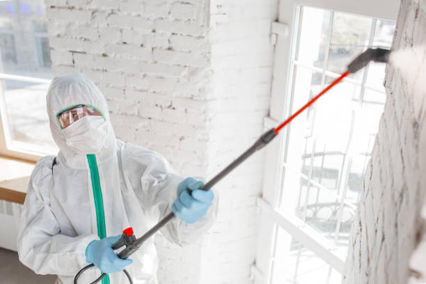 Best Emergency Mold Remediation  in Netcong, NJ