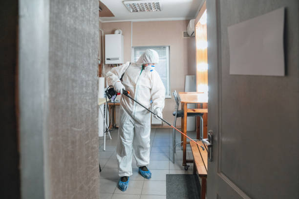 Best Mold Remediation for Healthcare Facilities  in Netcong, NJ