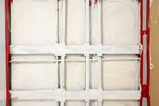 Best Mold Documentation for Insurance Claims  in Netcong, NJ