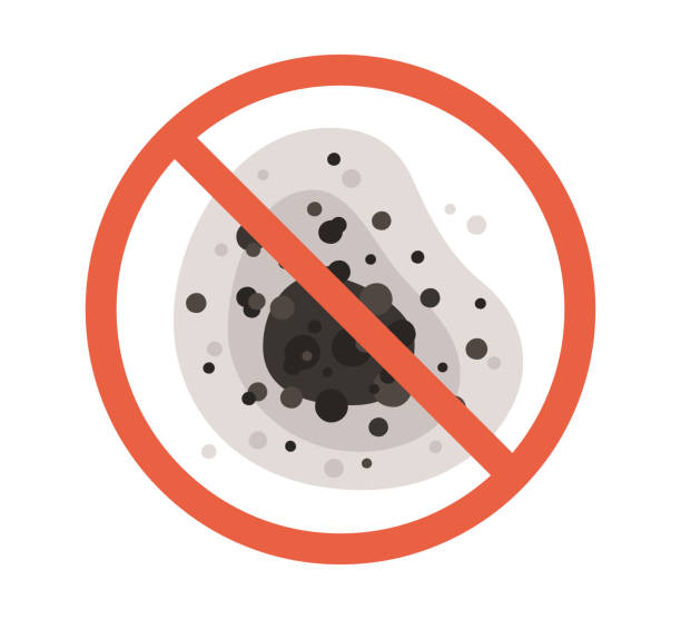 Best Airborne Mold Testing  in Netcong, NJ